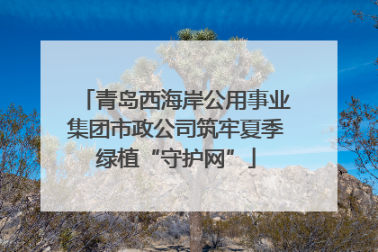 青岛西海岸公用事业集团市政公司筑牢夏季绿植“守护网”