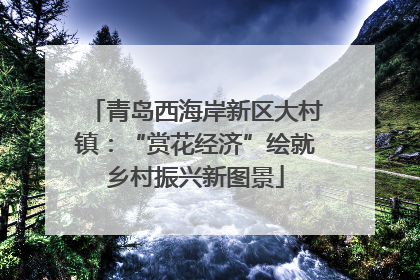 青岛西海岸新区大村镇：“赏花经济”绘就乡村振兴新图景