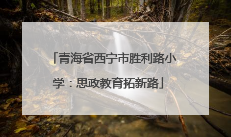 青海省西宁市胜利路小学：思政教育拓新路