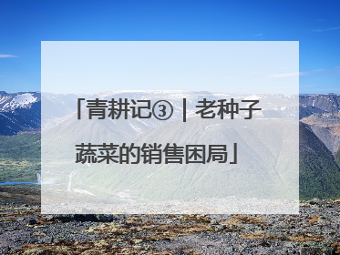 青耕记③｜老种子蔬菜的销售困局