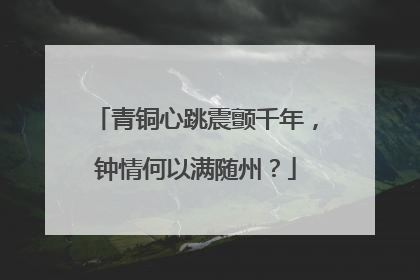 青铜心跳震颤千年，钟情何以满随州？
