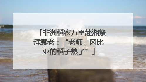 非洲稻农万里赴湘祭拜袁老：“老师，冈比亚的稻子熟了”
