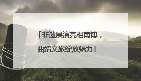 非遗展演亮相南博，曲靖文旅绽放魅力