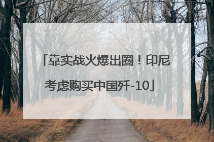 靠实战火爆出圈！印尼考虑购买中国歼-10