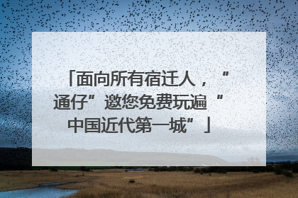 面向所有宿迁人，“通仔”邀您免费玩遍“中国近代第一城”