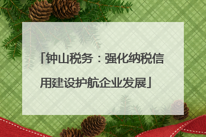 钟山税务：强化纳税信用建设护航企业发展