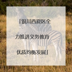 银川西夏区全力推进义务教育优质均衡发展