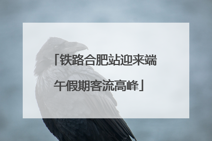 铁路合肥站迎来端午假期客流高峰