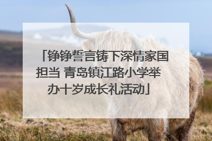 铮铮誓言铸下深情家国担当 青岛镇江路小学举办十岁成长礼活动