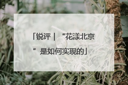 锐评｜“花漾北京”是如何实现的