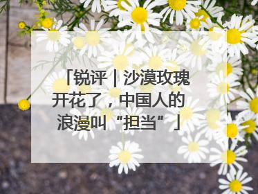 锐评｜沙漠玫瑰开花了，中国人的浪漫叫“担当”
