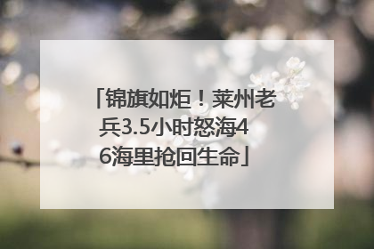 锦旗如炬！莱州老兵3.5小时怒海46海里抢回生命