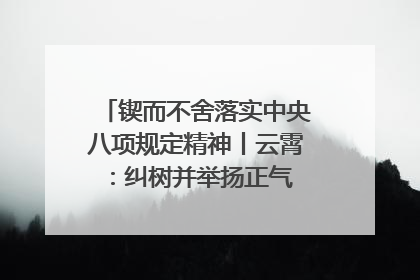 锲而不舍落实中央八项规定精神丨云霄：纠树并举扬正气 作风建设谱新章