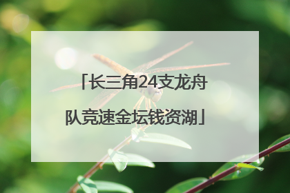长三角24支龙舟队竞速金坛钱资湖