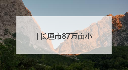 长垣市87万亩小麦开镰收割 机械化作业保障夏粮归仓