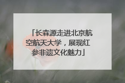 长森源走进北京航空航天大学，展现红参非遗文化魅力