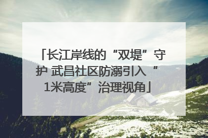 长江岸线的“双堤”守护 武昌社区防溺引入“1米高度”治理视角