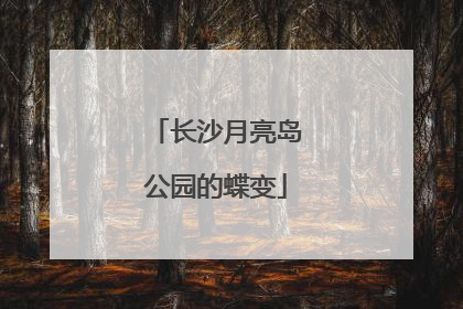 长沙月亮岛公园的蝶变