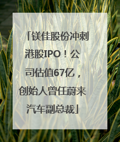 镁佳股份冲刺港股IPO！公司估值67亿，创始人曾任蔚来汽车副总裁
