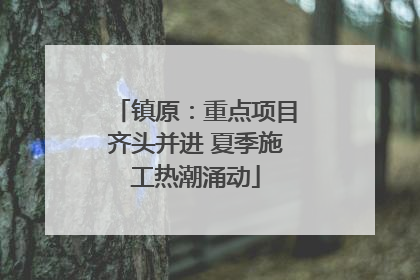 镇原：重点项目齐头并进 夏季施工热潮涌动