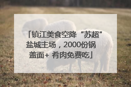 镇江美食空降“苏超”盐城主场，2000份锅盖面+ 肴肉免费吃