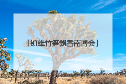 镇雄竹笋飘香南博会