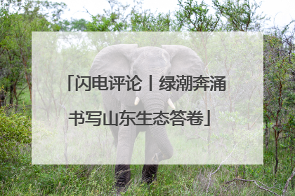闪电评论丨绿潮奔涌 书写山东生态答卷