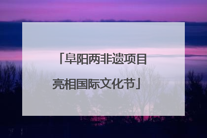 阜阳两非遗项目亮相国际文化节