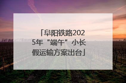 阜阳铁路2025年“端午”小长假运输方案出台