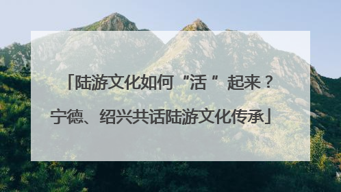 陆游文化如何“活 ”起来？宁德、绍兴共话陆游文化传承