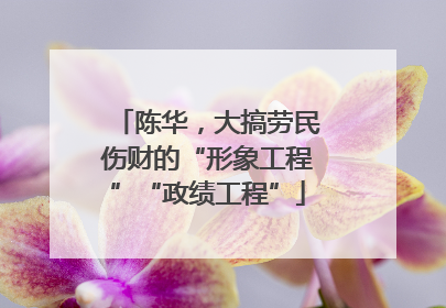陈华，大搞劳民伤财的“形象工程”“政绩工程”