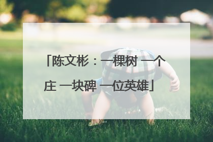 陈文彬：一棵树 一个庄 一块碑 一位英雄