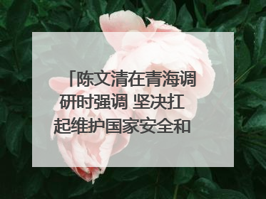 陈文清在青海调研时强调 坚决扛起维护国家安全和社会稳定职责使命 为谱写中国式现代化青海篇章贡献政法力量