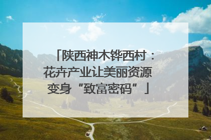 陕西神木铧西村：花卉产业让美丽资源变身“致富密码”