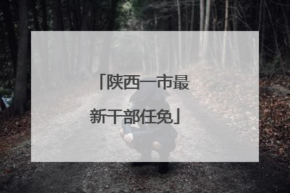 陕西一市最新干部任免