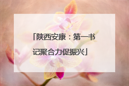 陕西安康：第一书记聚合力促振兴