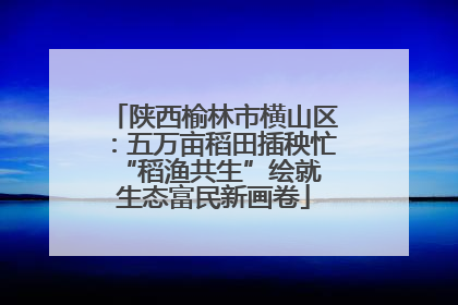 陕西榆林市横山区：五万亩稻田插秧忙 “稻渔共生”绘就生态富民新画卷
