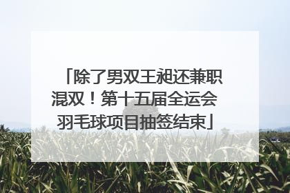 除了男双王昶还兼职混双！第十五届全运会羽毛球项目抽签结束