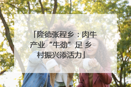 隆德张程乡：肉牛产业“牛劲”足 乡村振兴添活力