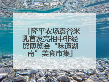隆平农场袁谷米乳首发亮相中非经贸博览会“味道湖南”美食市集