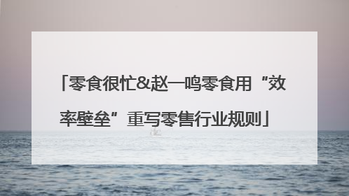 零食很忙&赵一鸣零食用“效率壁垒”重写零售行业规则