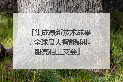 集成最新技术成果，全球最大智能铺排船亮相上交会