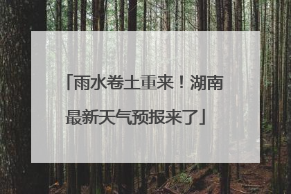 雨水卷土重来！湖南最新天气预报来了