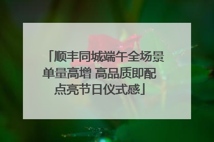 顺丰同城端午全场景单量高增 高品质即配点亮节日仪式感