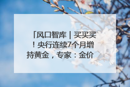 风口智库｜买买买！央行连续7个月增持黄金，专家：金价或仍易涨难跌