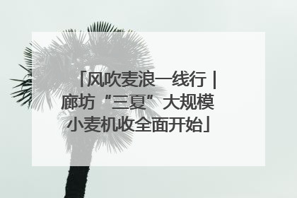 风吹麦浪一线行｜廊坊“三夏”大规模小麦机收全面开始