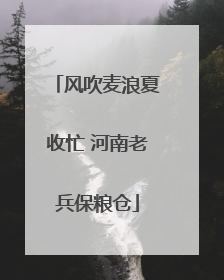 风吹麦浪夏收忙 河南老兵保粮仓