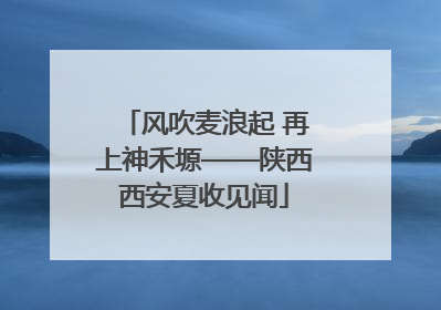 风吹麦浪起 再上神禾塬——陕西西安夏收见闻
