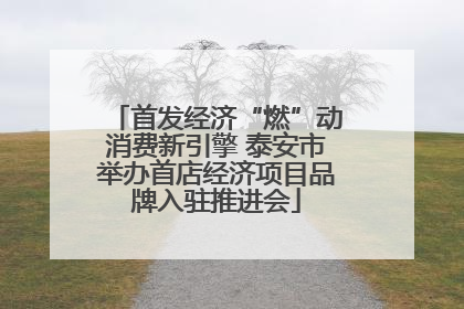 首发经济“燃”动消费新引擎 泰安市举办首店经济项目品牌入驻推进会