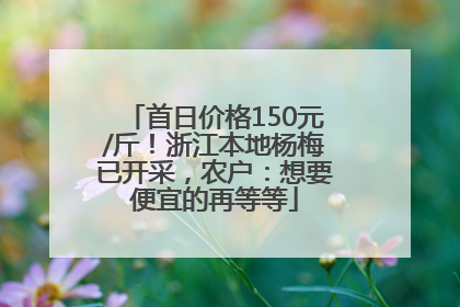 首日价格150元/斤！浙江本地杨梅已开采，农户：想要便宜的再等等
